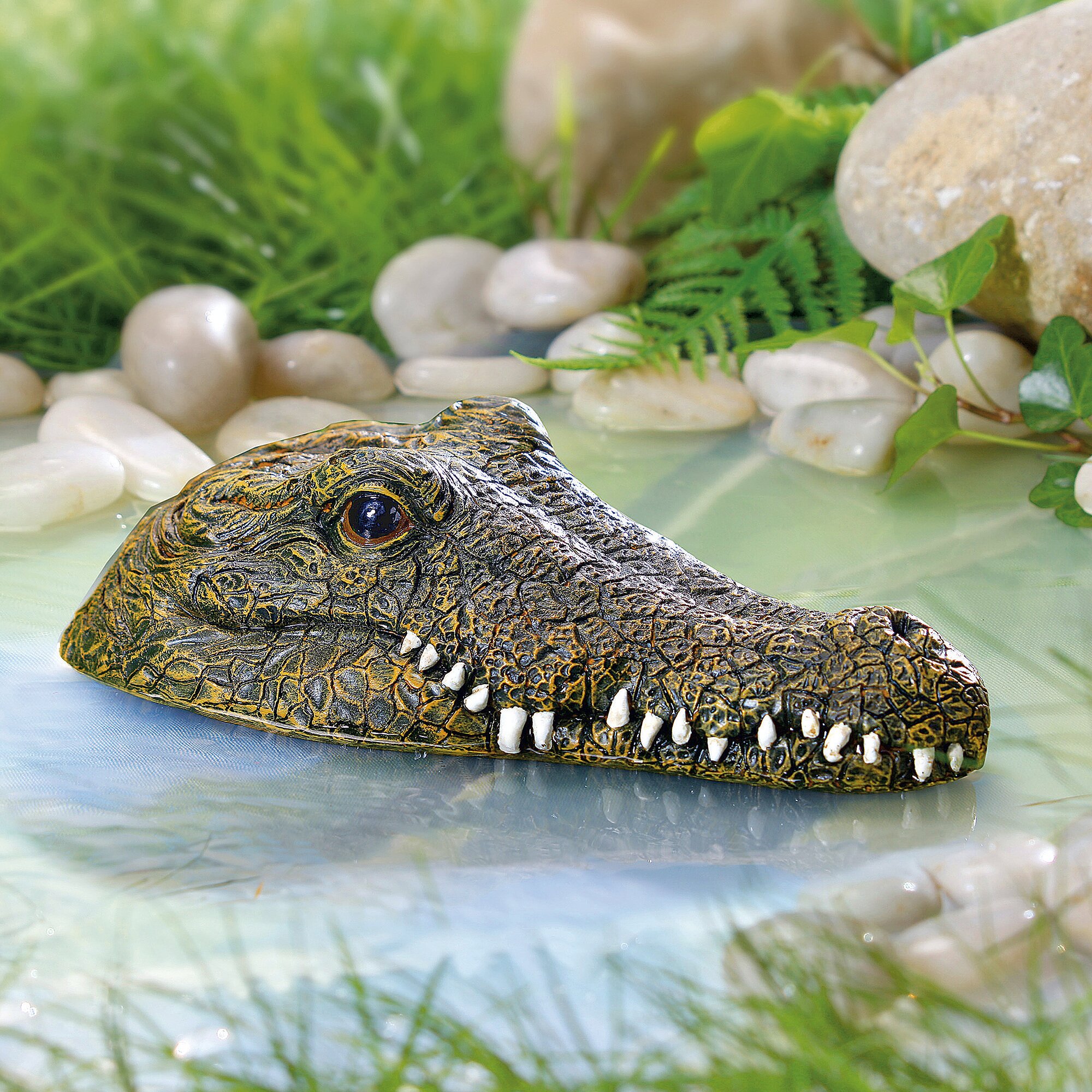 Crocodile pour étang