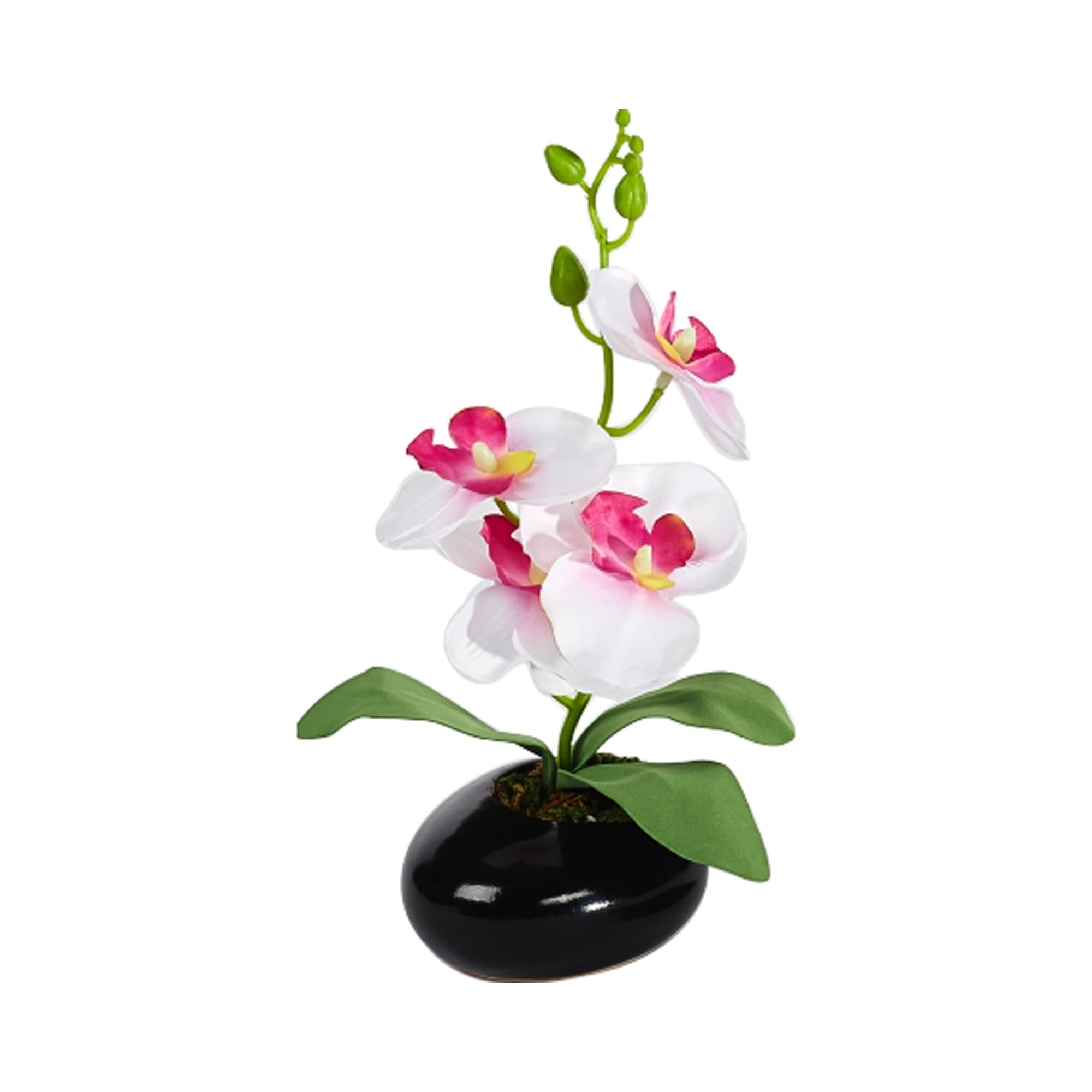 Orchideen-Gesteck, weiß