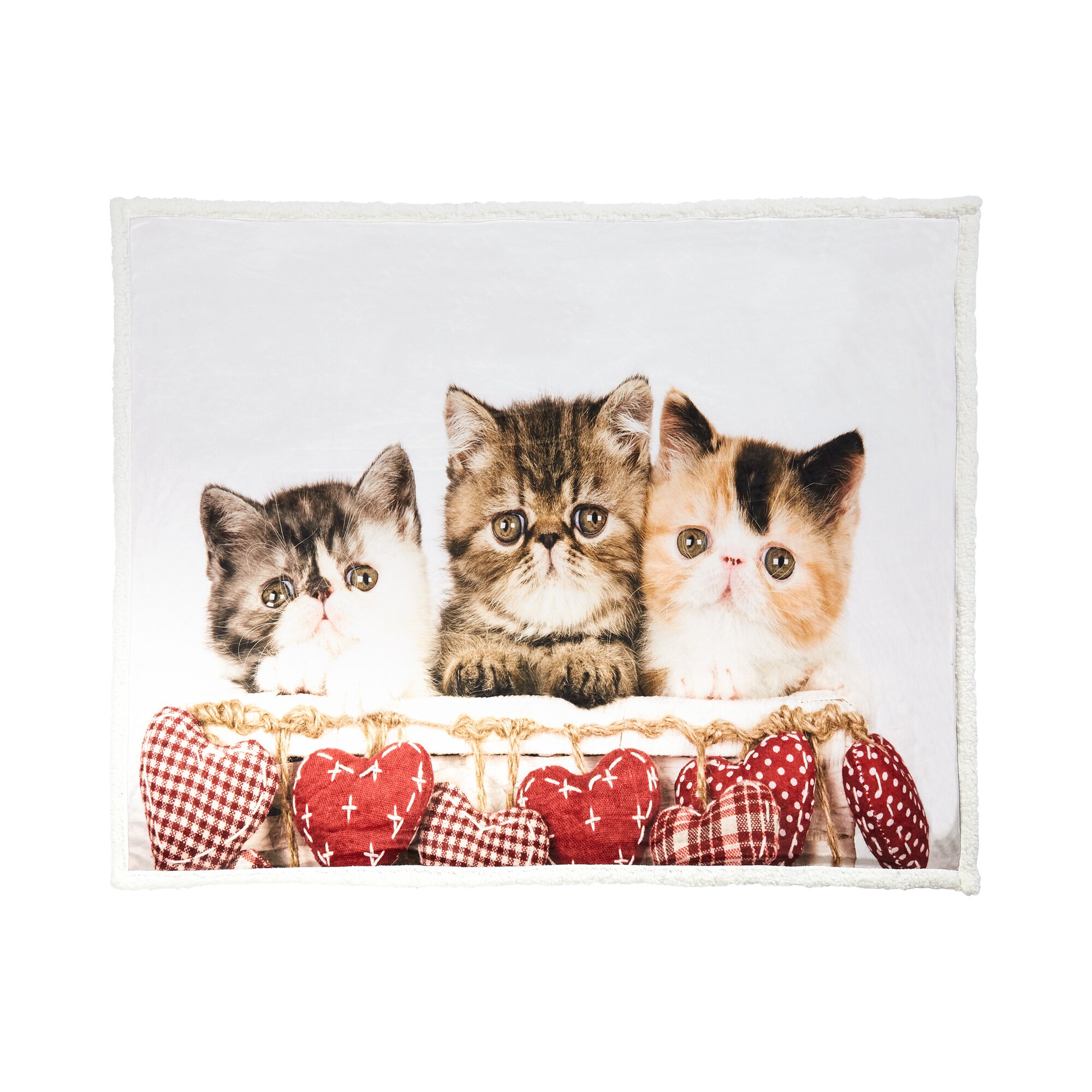 Couverture « Trois chatons »