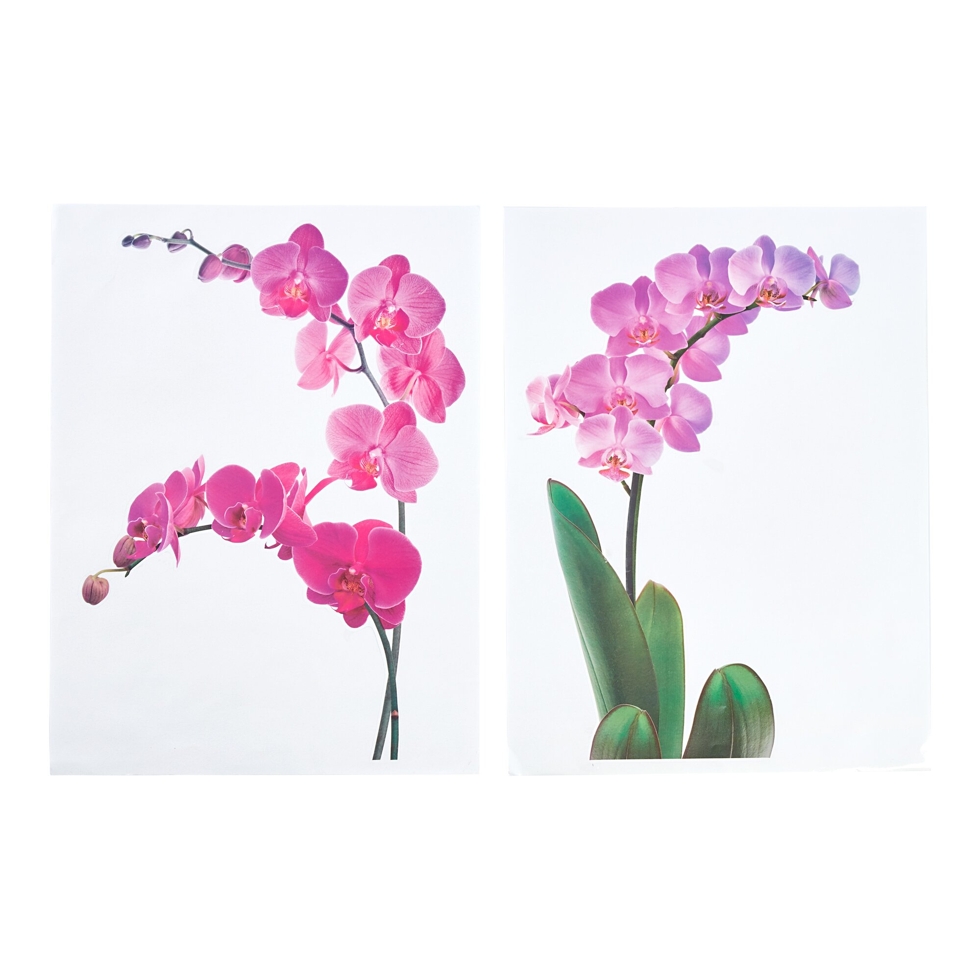 Fenstersticker Orchideen, 2 Stück