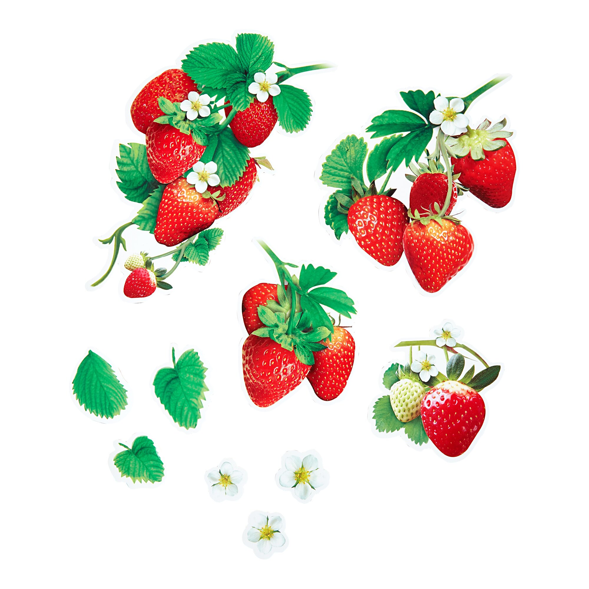 genialo®Magnet-Sticker Erdbeere, 10 Stück