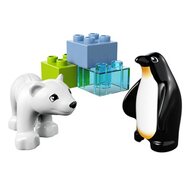 Polartiere von LEGO® DUPLO®