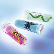 Reagenzglas mit Tier 
