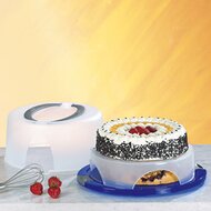 Kuchen-Container "Maxi" 