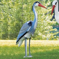 Garten-Vogel 