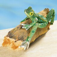 Schmuck-Frosch 