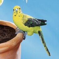 Perruche pour pot de fleur 