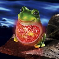 Solar-Frosch 