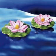 D&eacute;co pour &eacute;tang &laquo; N&eacute;nuphar &raquo; 