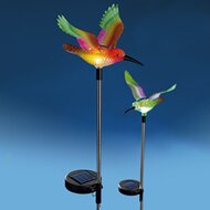 D&eacute;co solaire &laquo; Oiseau du paradis &raquo; 