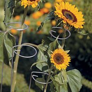 Blumenhalter 