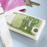 Euro-Taschent&uuml;cher 