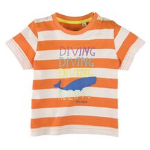 T-Shirt 1/4 Arm von TOM TAILOR