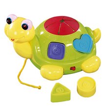 Sortier-Schildkr&ouml;te von SOLINI