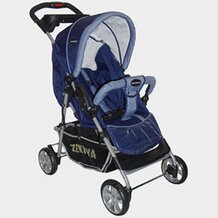 Sportwagen "Biker Standard" von ZEKIWA