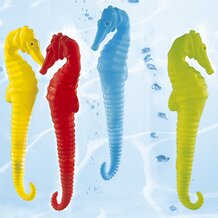 Hippocampes plongeurs 