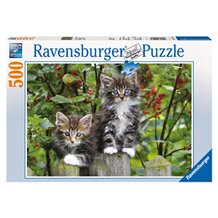 Puzzle, 500 Teile, K&auml;tzchen auf der Lauer von RAVENSBURGER