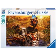 Puzzle, 2.000 Teile, Am Wasserloch von RAVENSBURGER