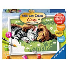 Malen nach Zahlen, Tiefer Schlaf von RAVENSBURGER
