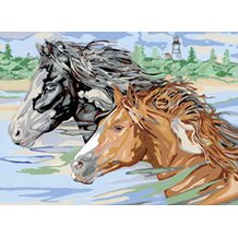 Malen nach Zahlen, Anmutige Wildpferde von RAVENSBURGER