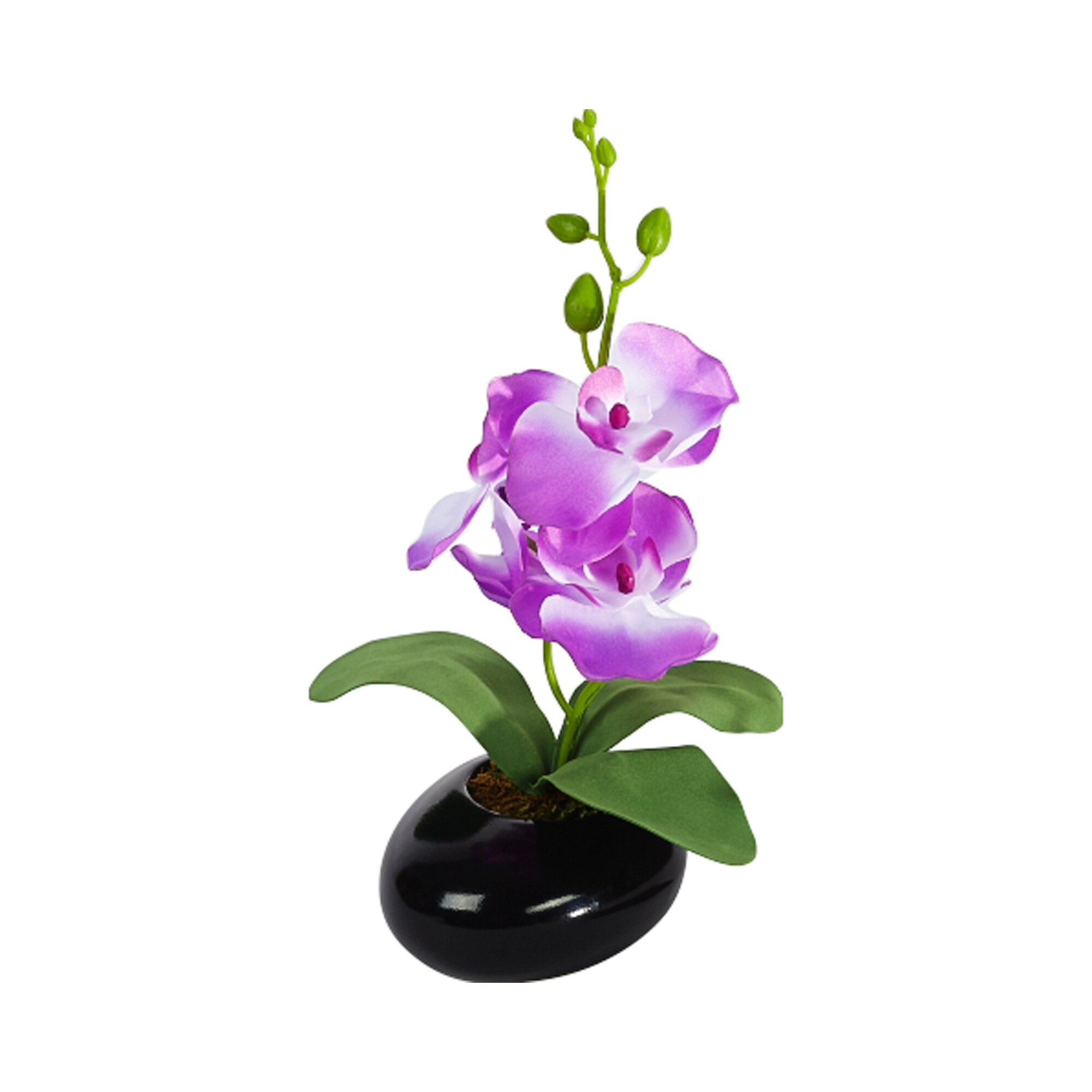 Image of Orchideen-Gesteck, lila