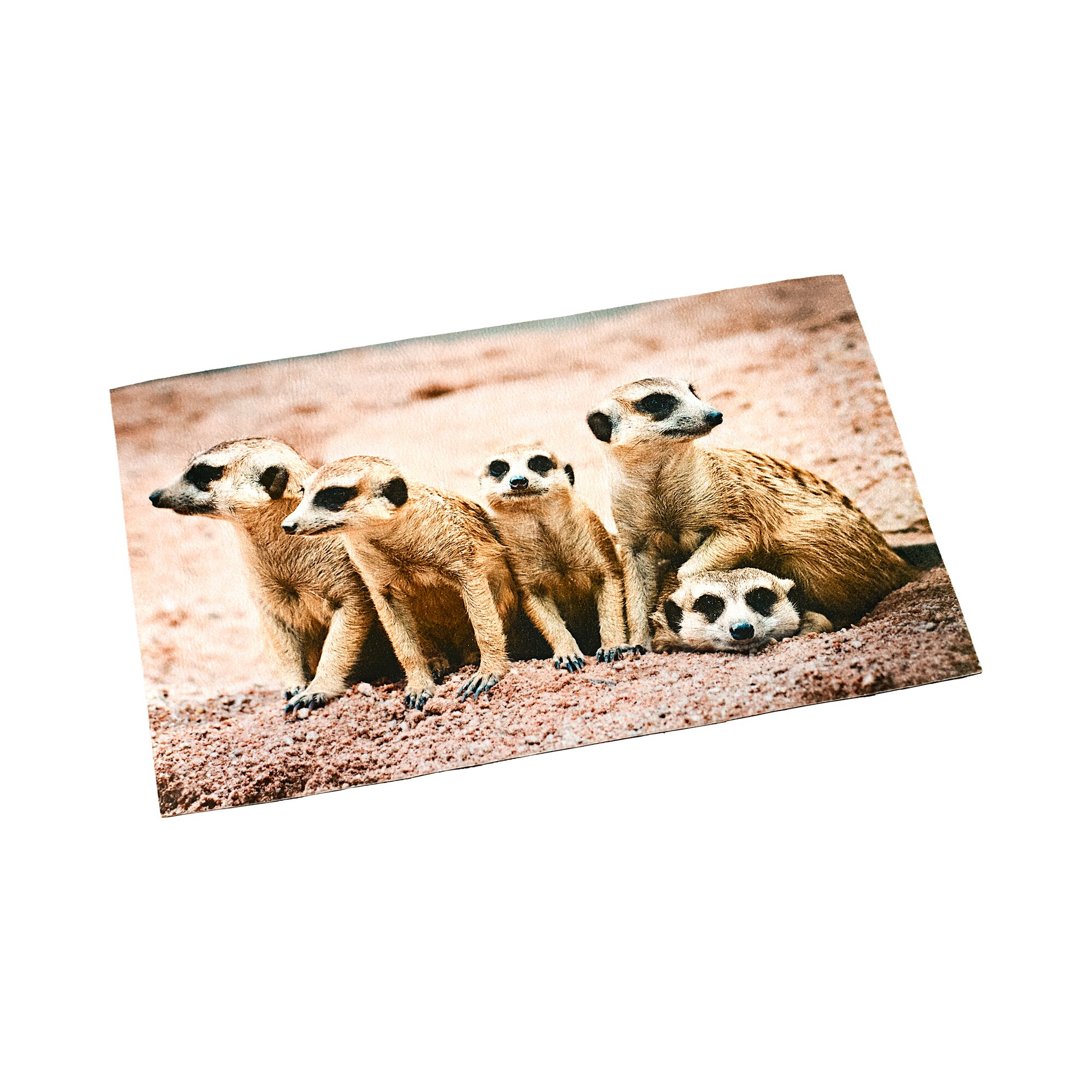 Paillasson « Groupe de suricates »