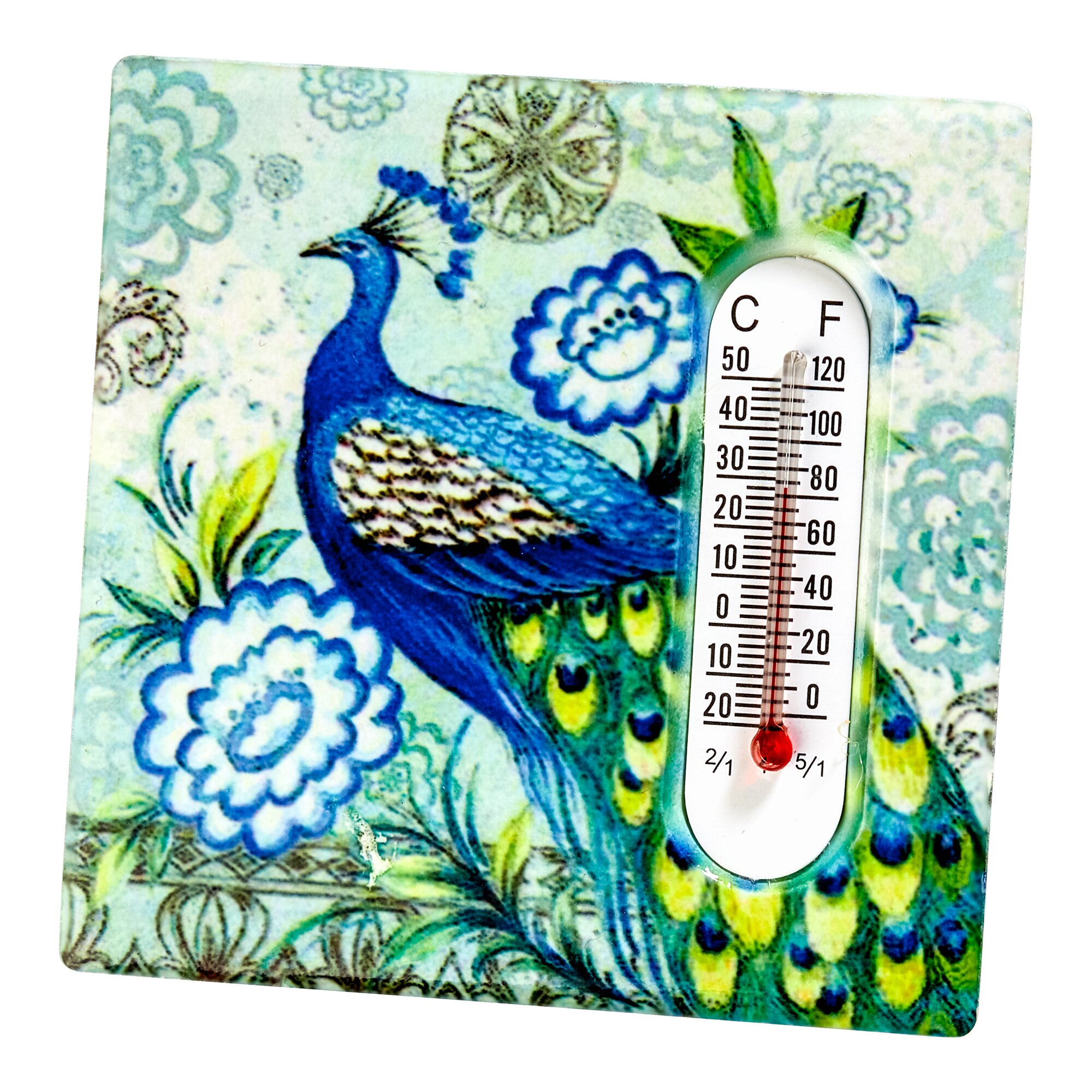 Image of Magnet-Thermometer "Pfau"