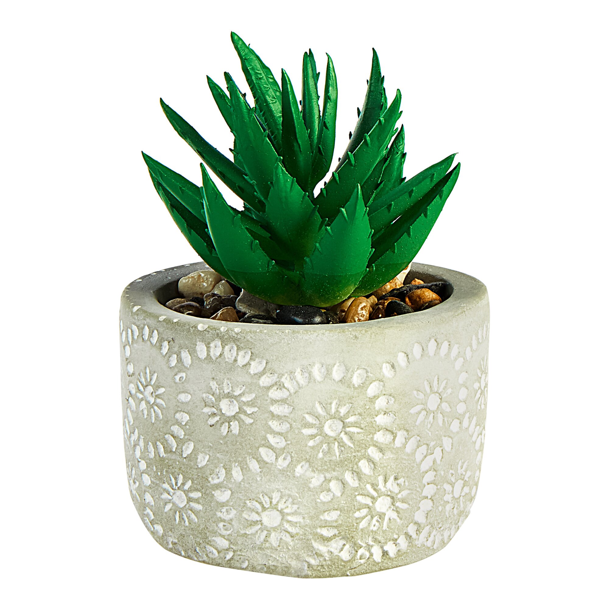 Image of Mini-Kaktus