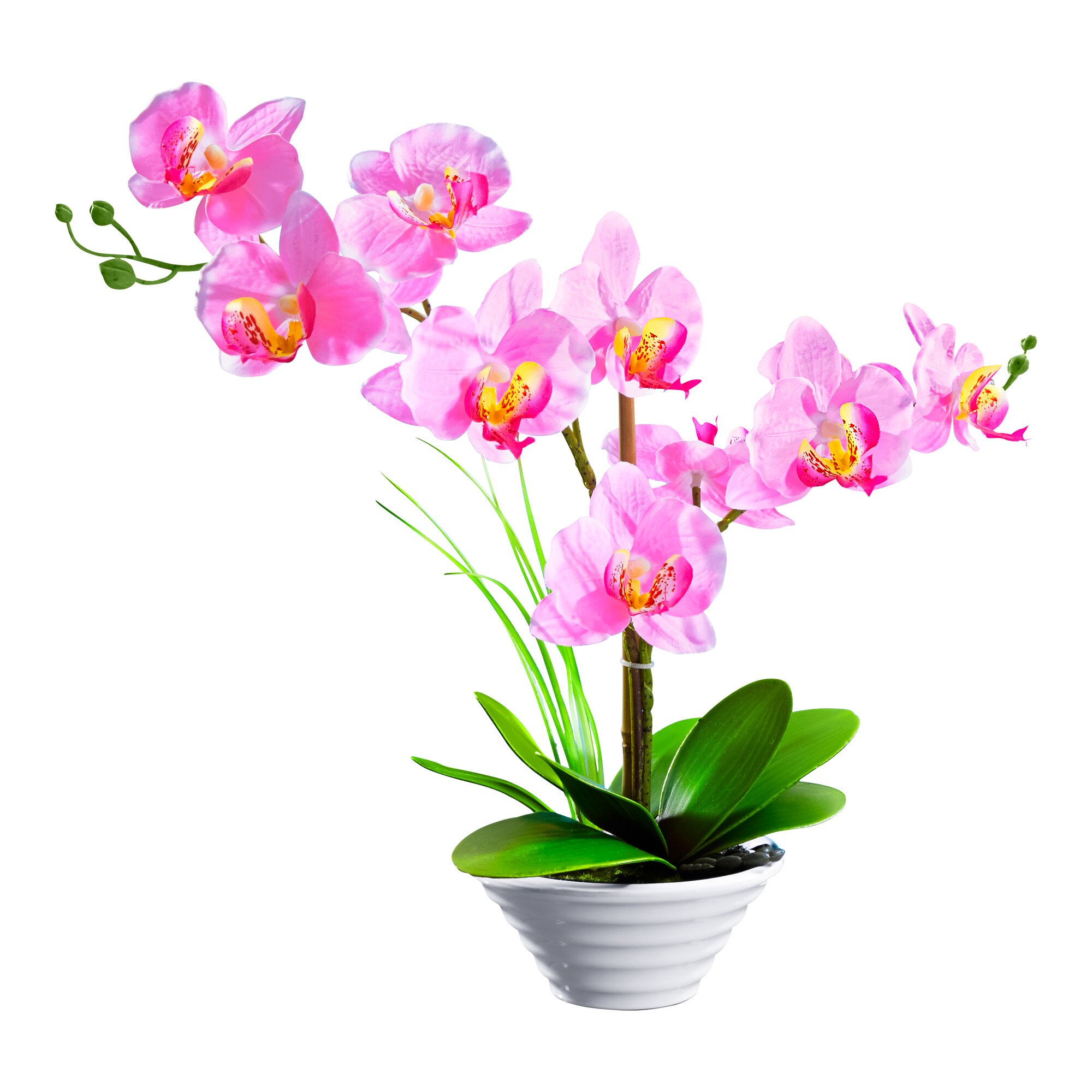 Image of Deko-Traum "Orchidee"
