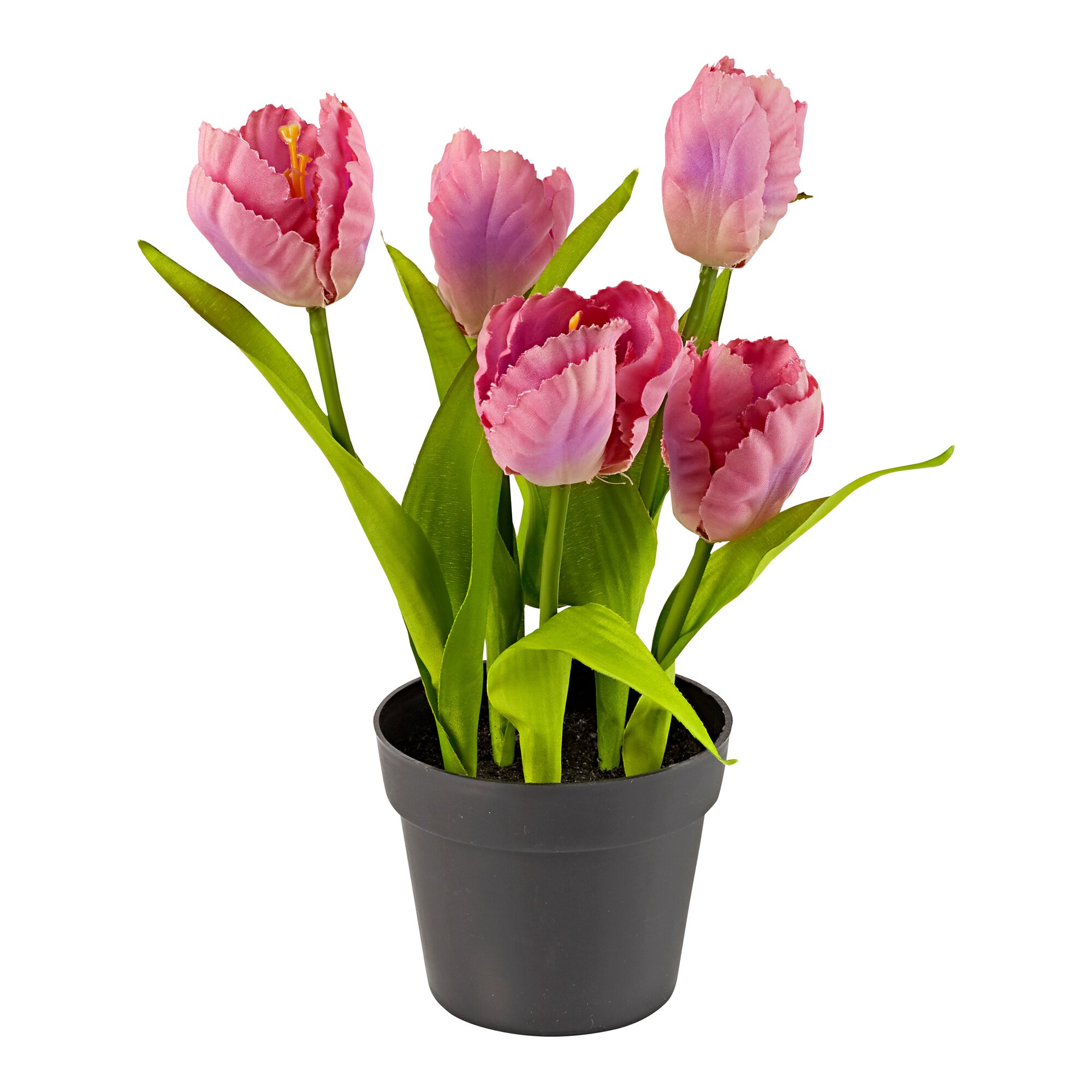 Tulipes artificielles