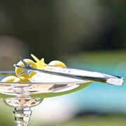 Eiswürfelzange