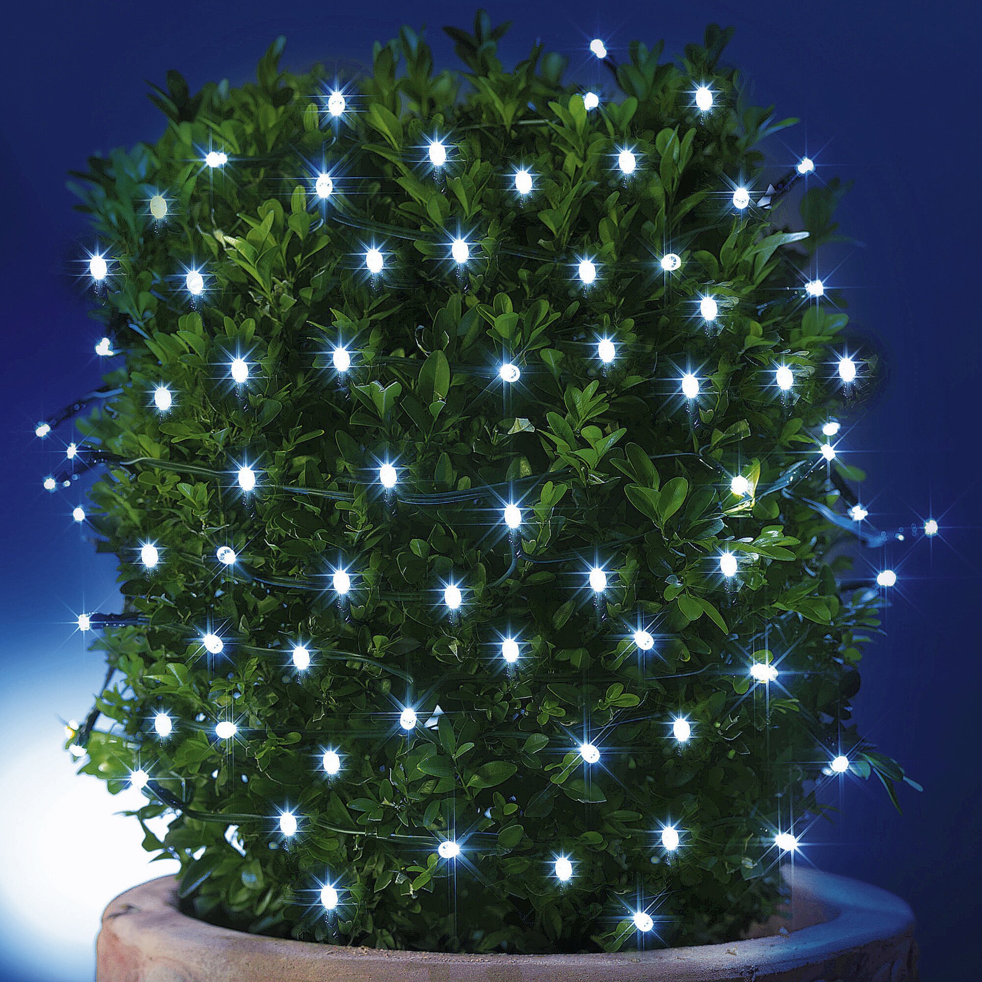 Solar-Lichterkette