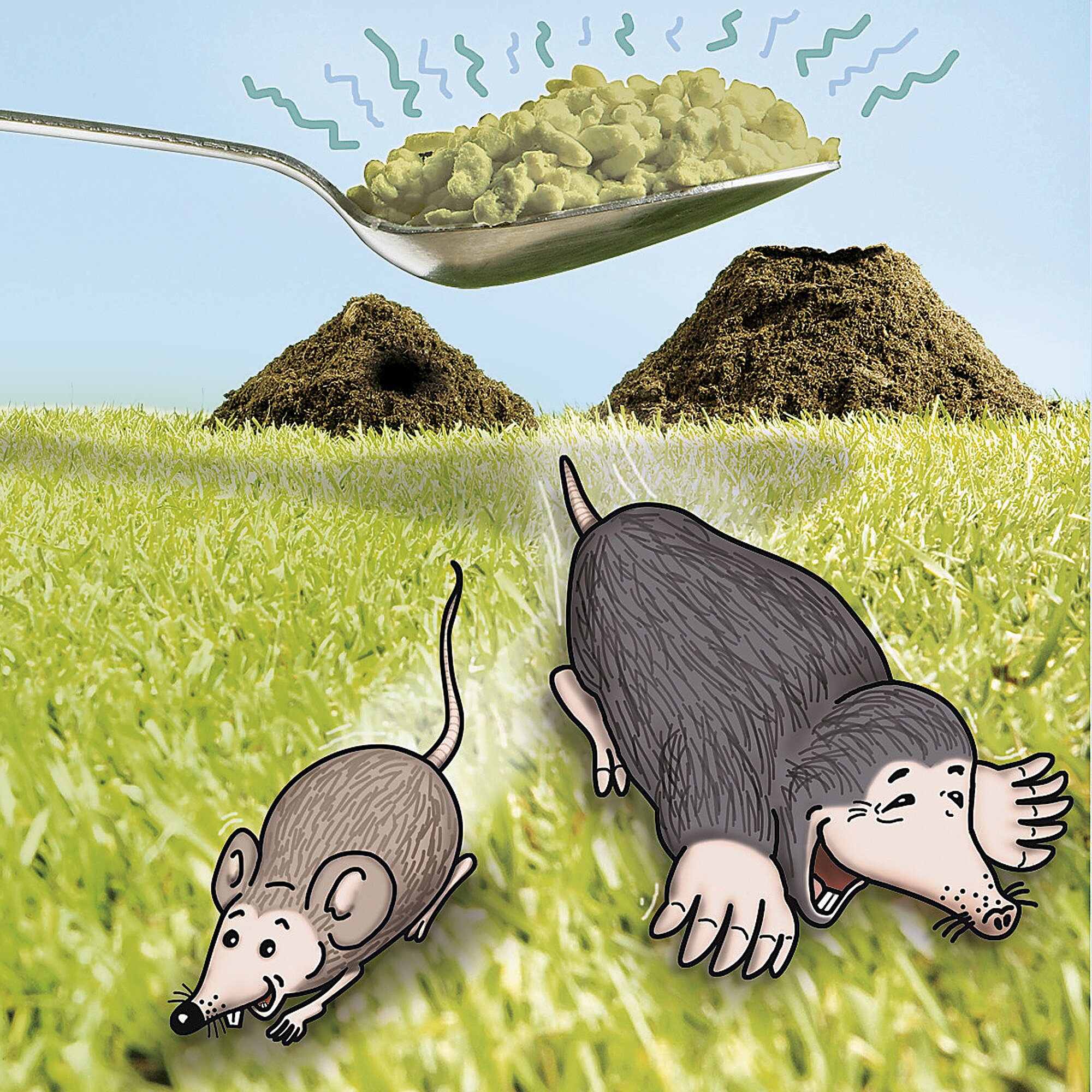 WENKO® Maulwurf- und Wühlmausschreck, 70 g