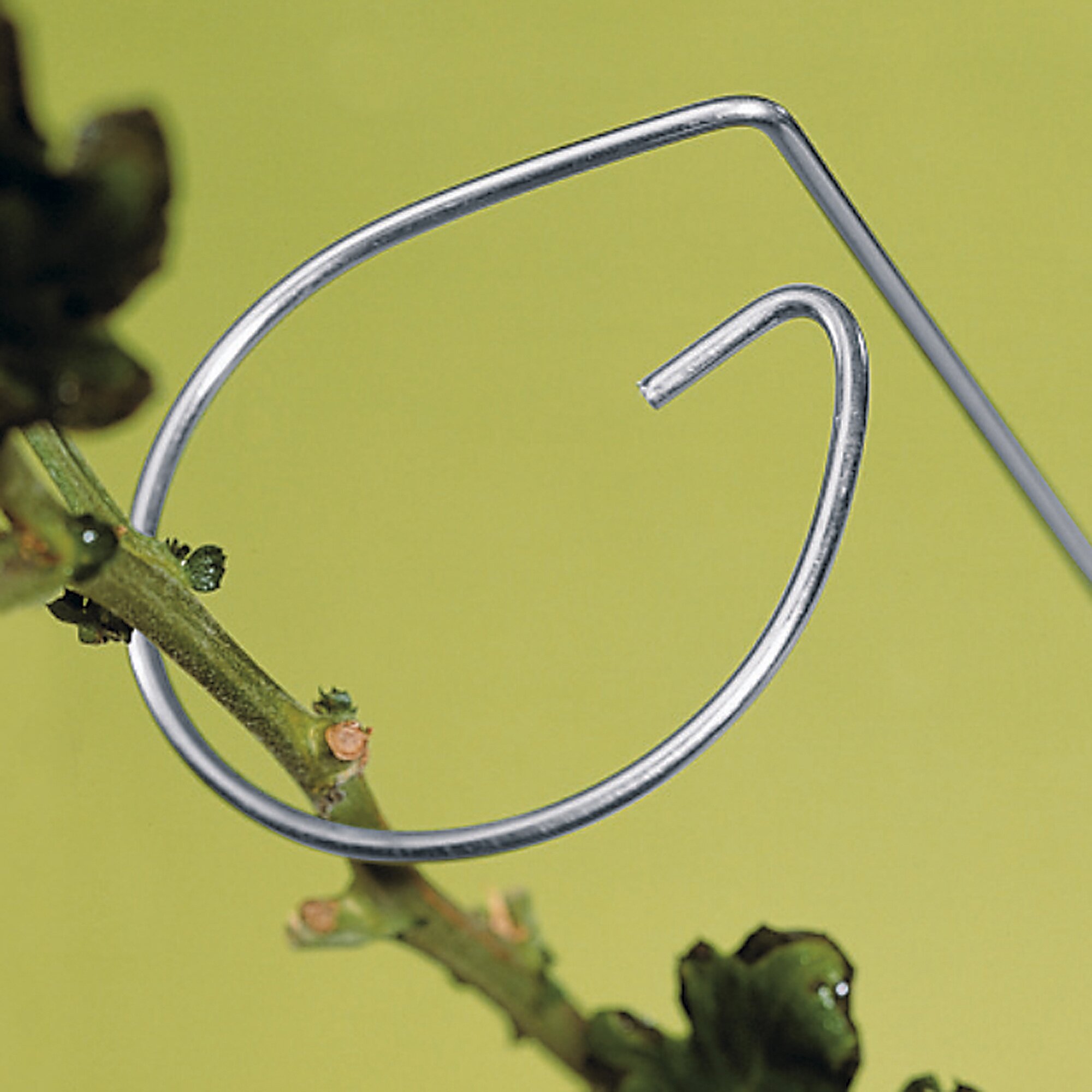 Blumenhalter, 8 Stück