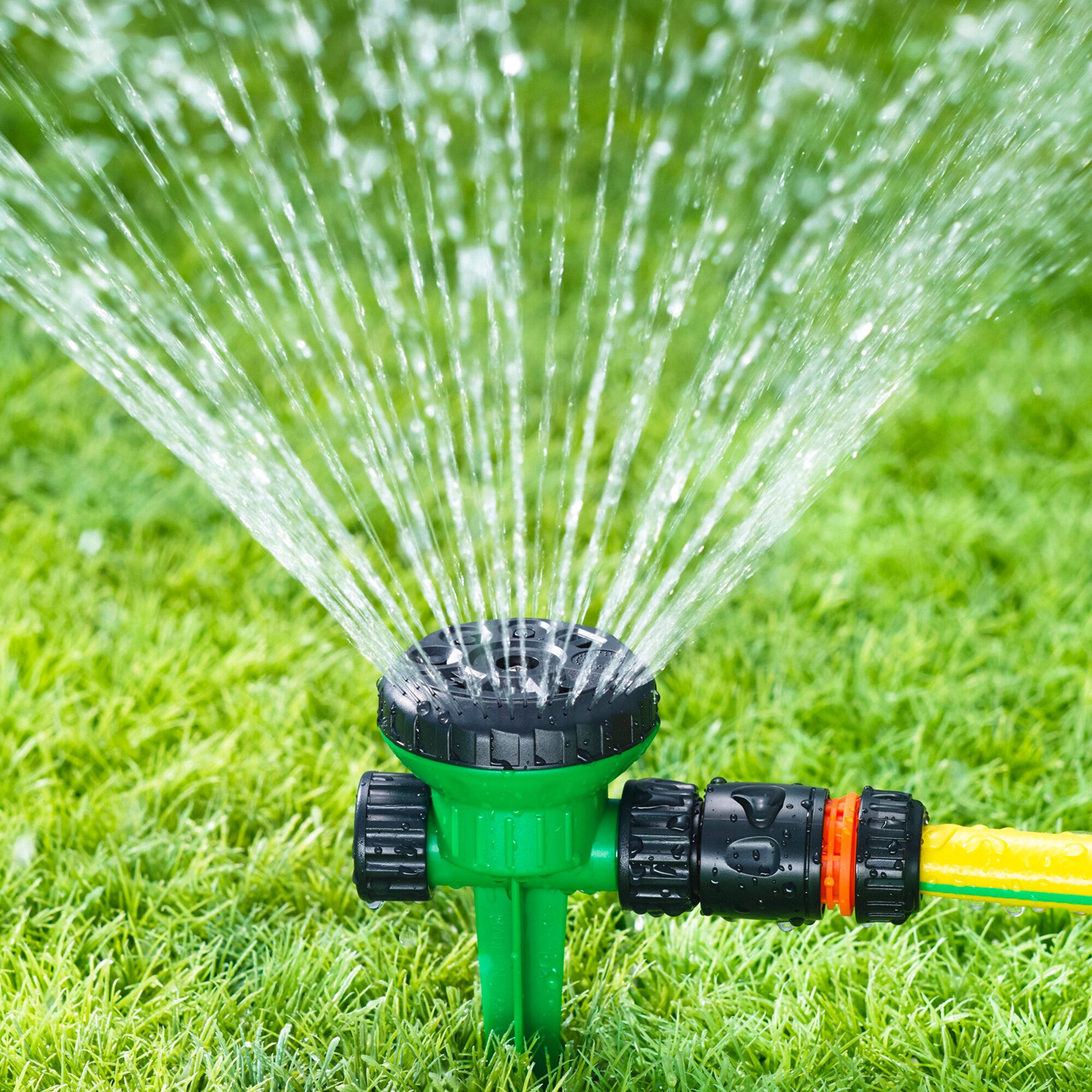 Rasen-Sprinkler
