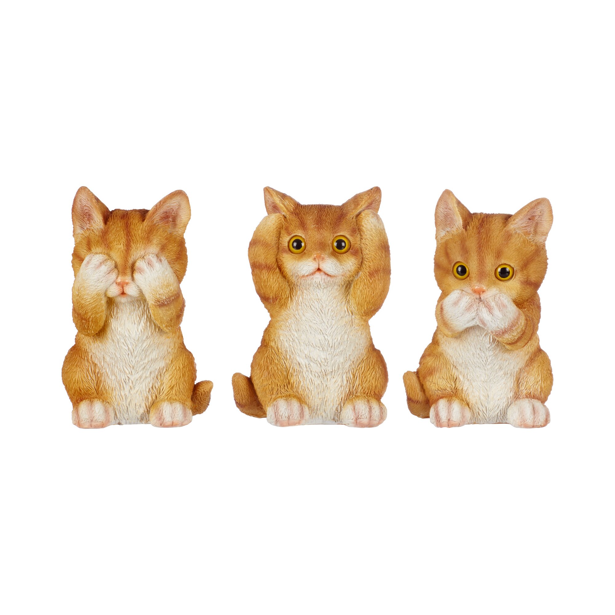 Trio de chatons