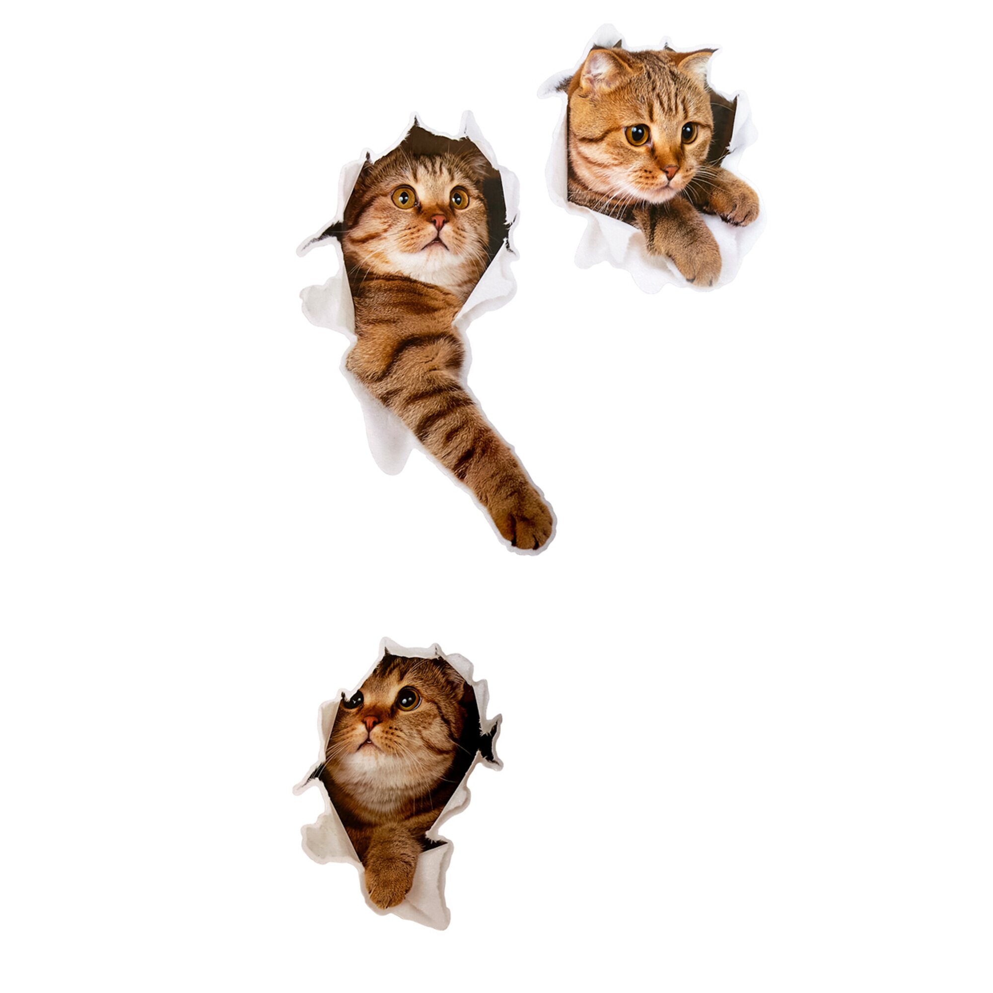 Stickers déco « Chatons », lot de 3
