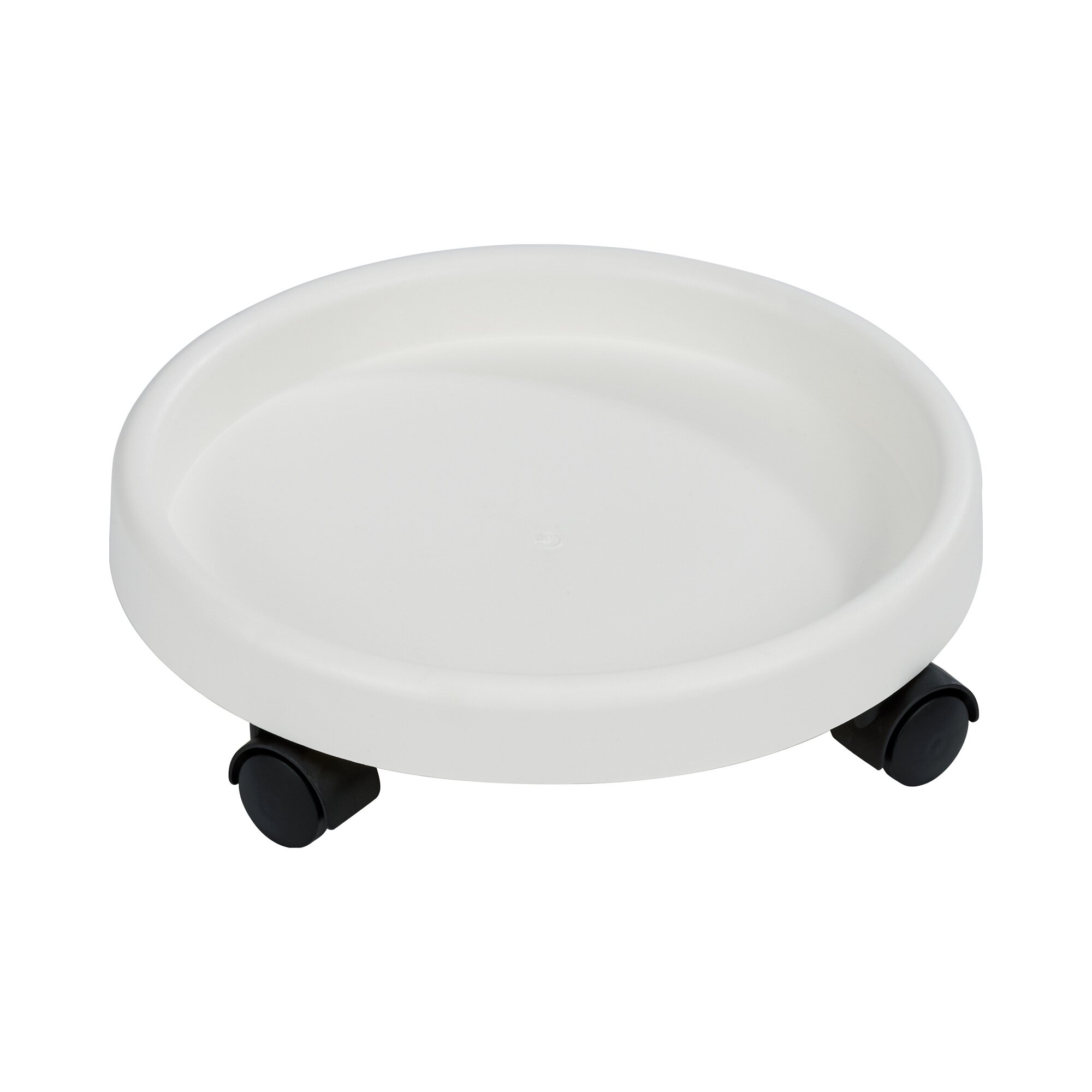 Pflanzenroller, weiß