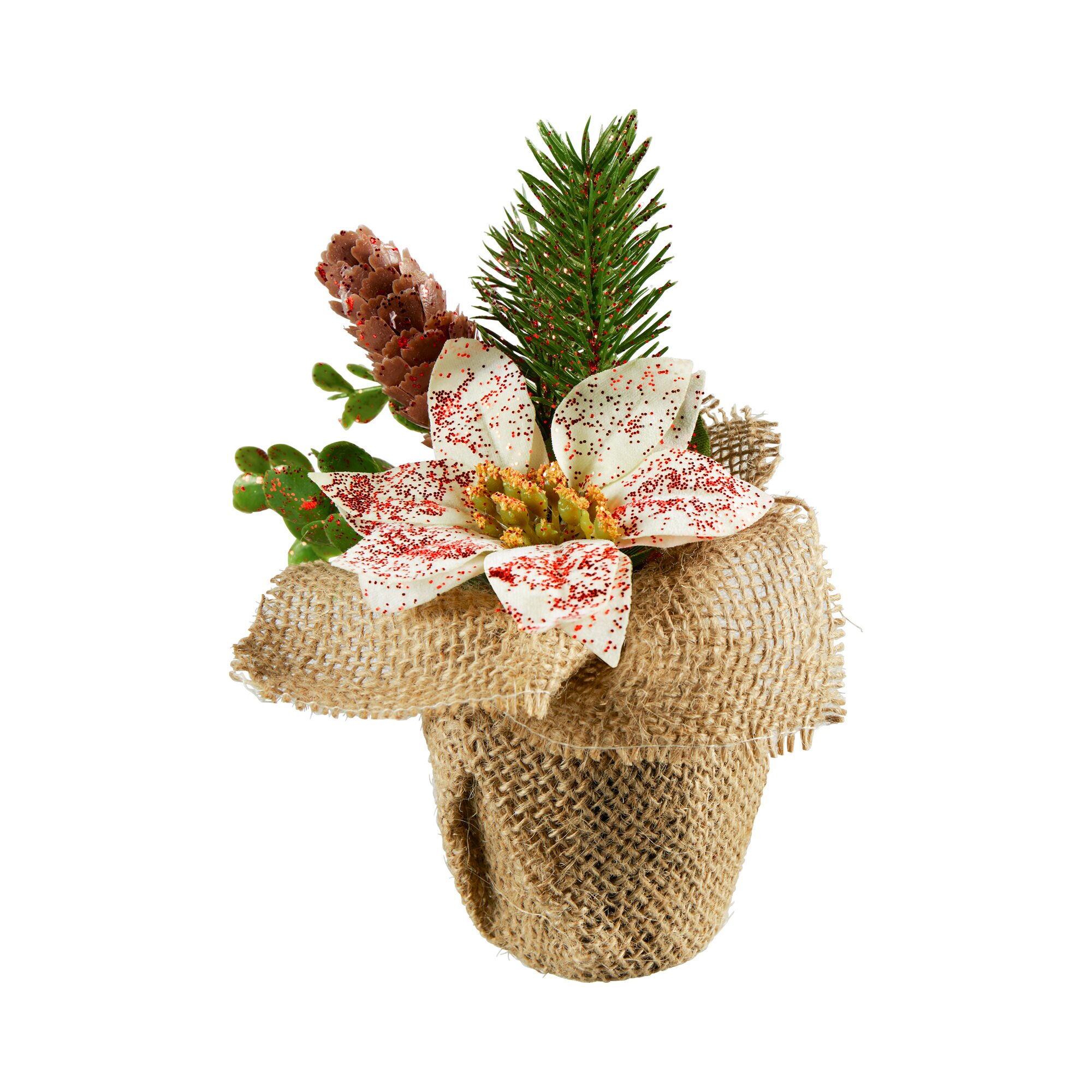 Composition florale « Poinsettia »