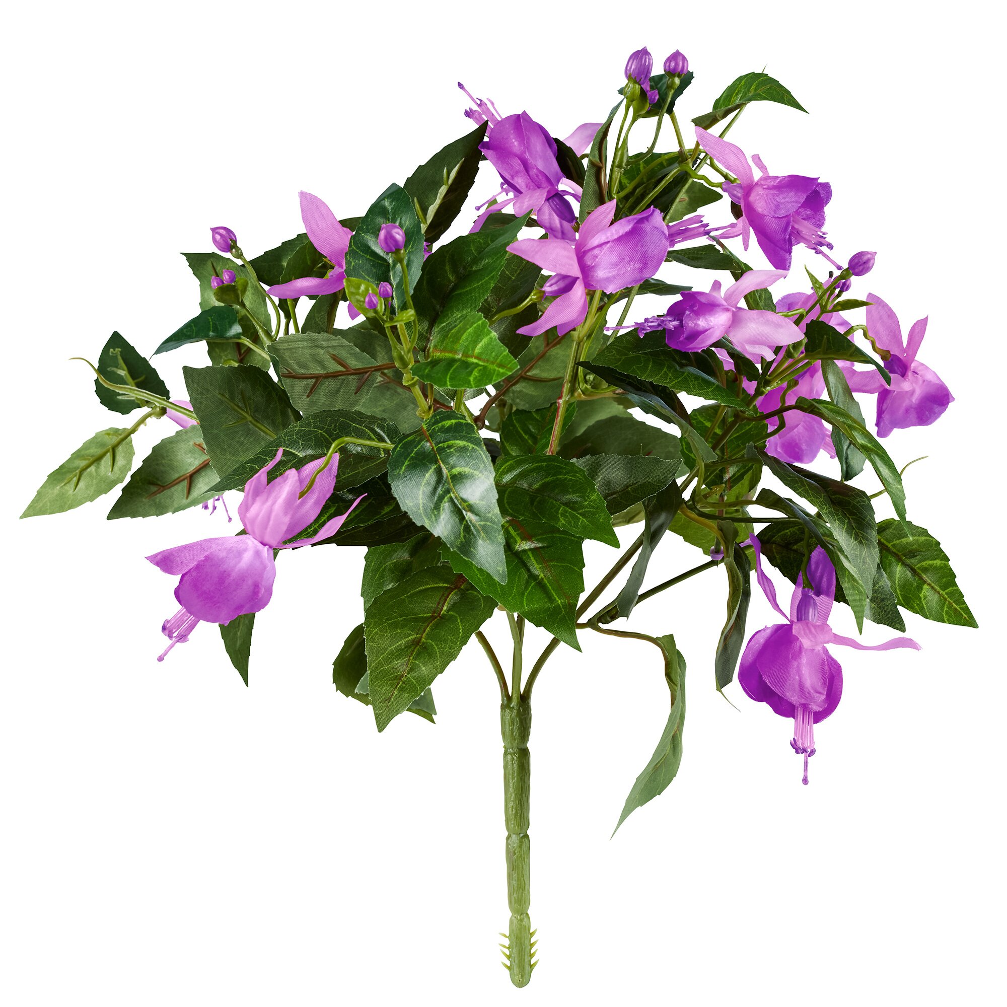 Fuchsia à piquer