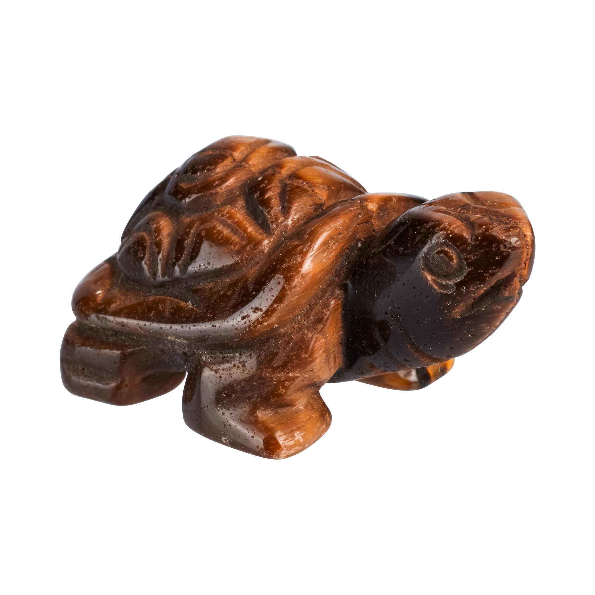 Edelstein-Schildkröte Tigerauge
