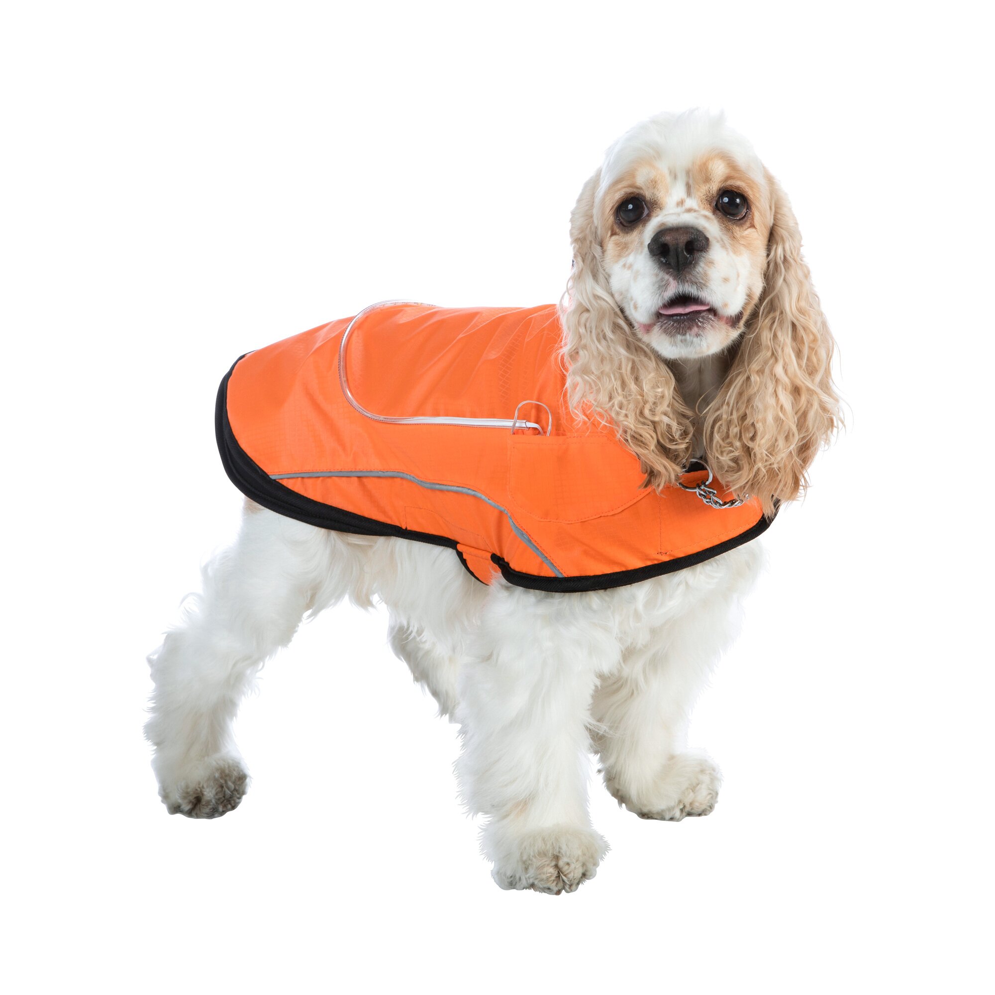 LED-Hundejacke 2 in 1, S, Größe: M