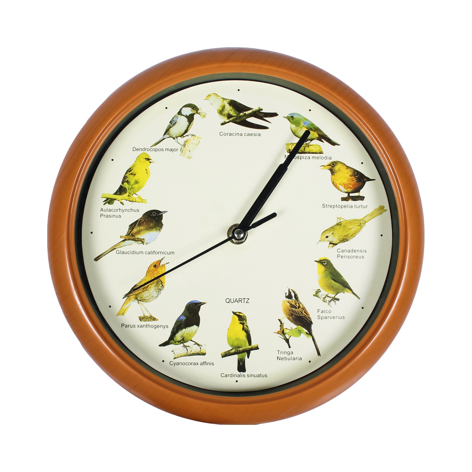 Pendules « Chants d'oiseaux »