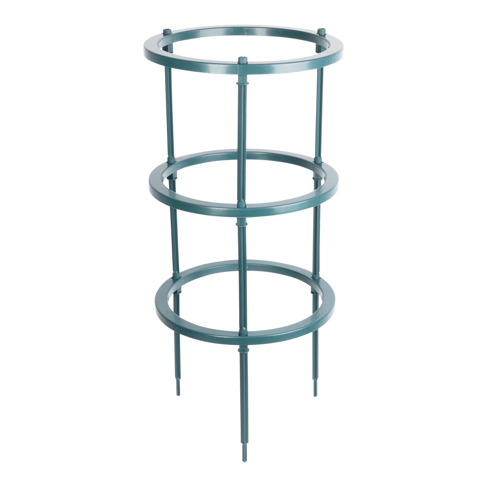 Pflanzenringe, 5 Stück