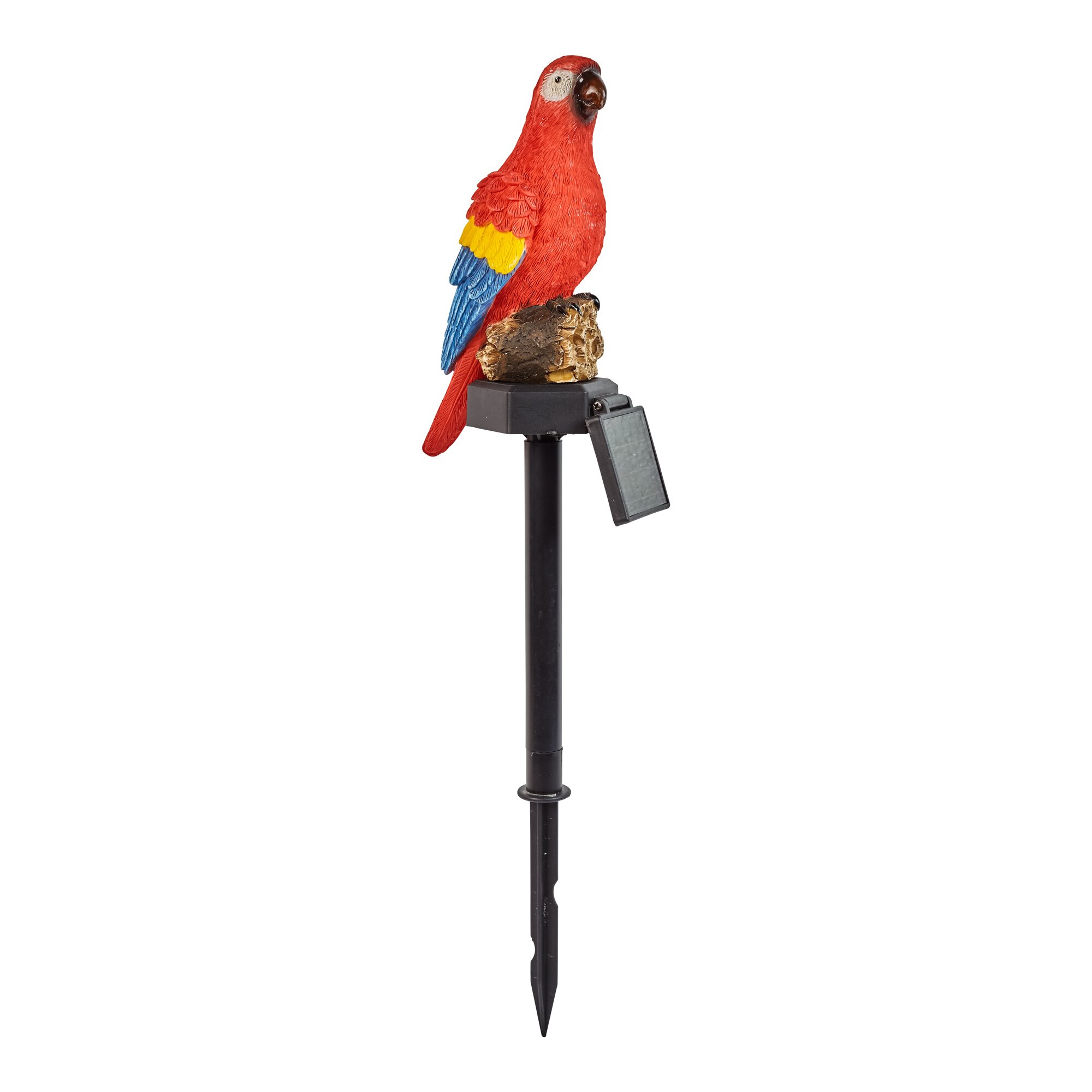Oiseau solaire
