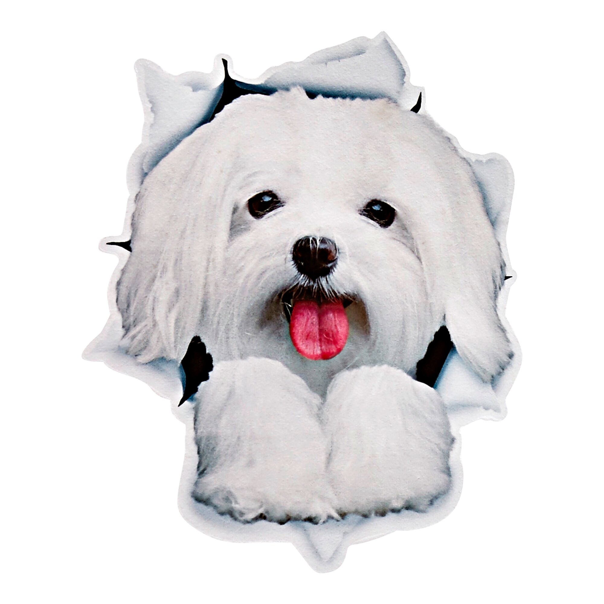 Wandsticker tierische Freunde