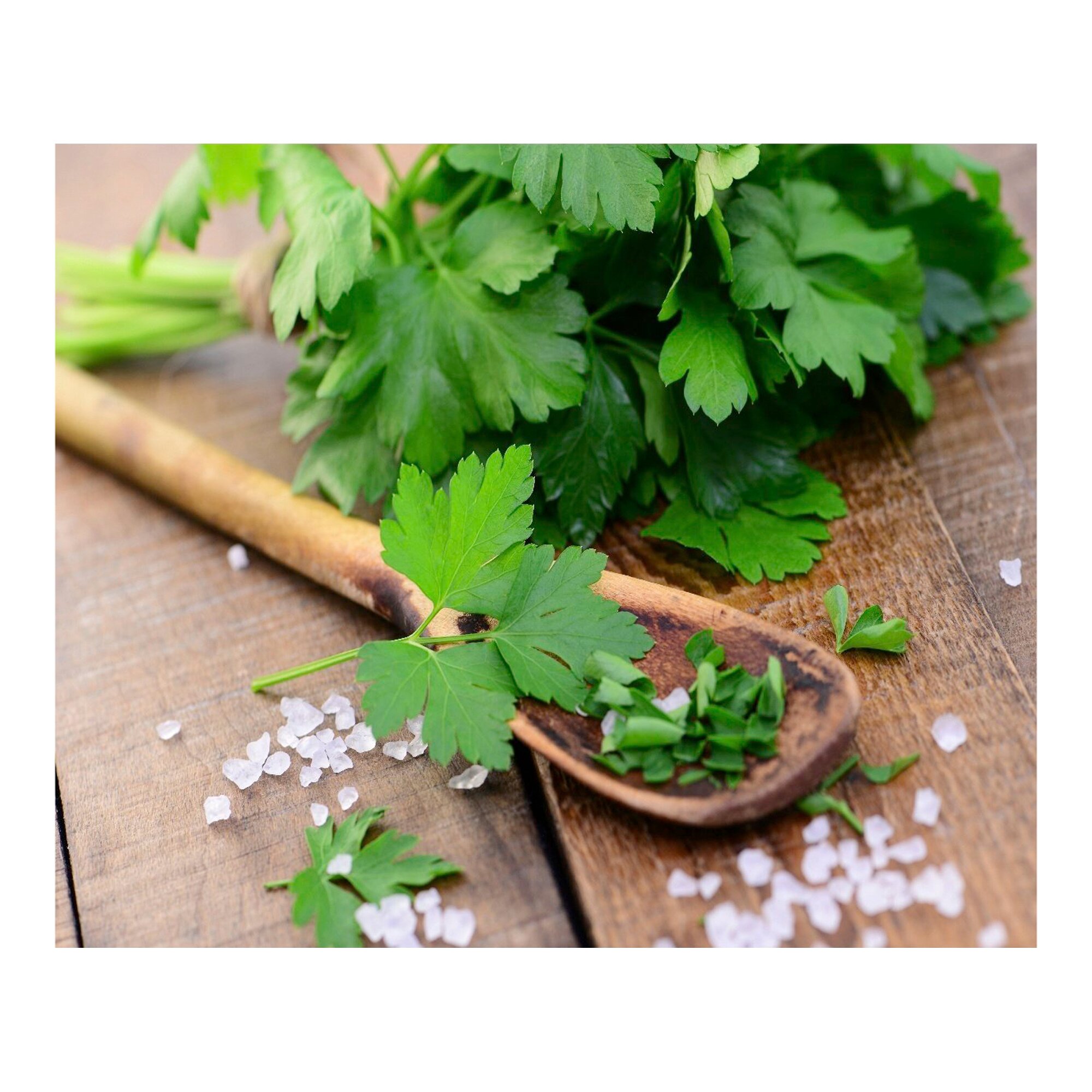 Graines d'herbes aromatiques