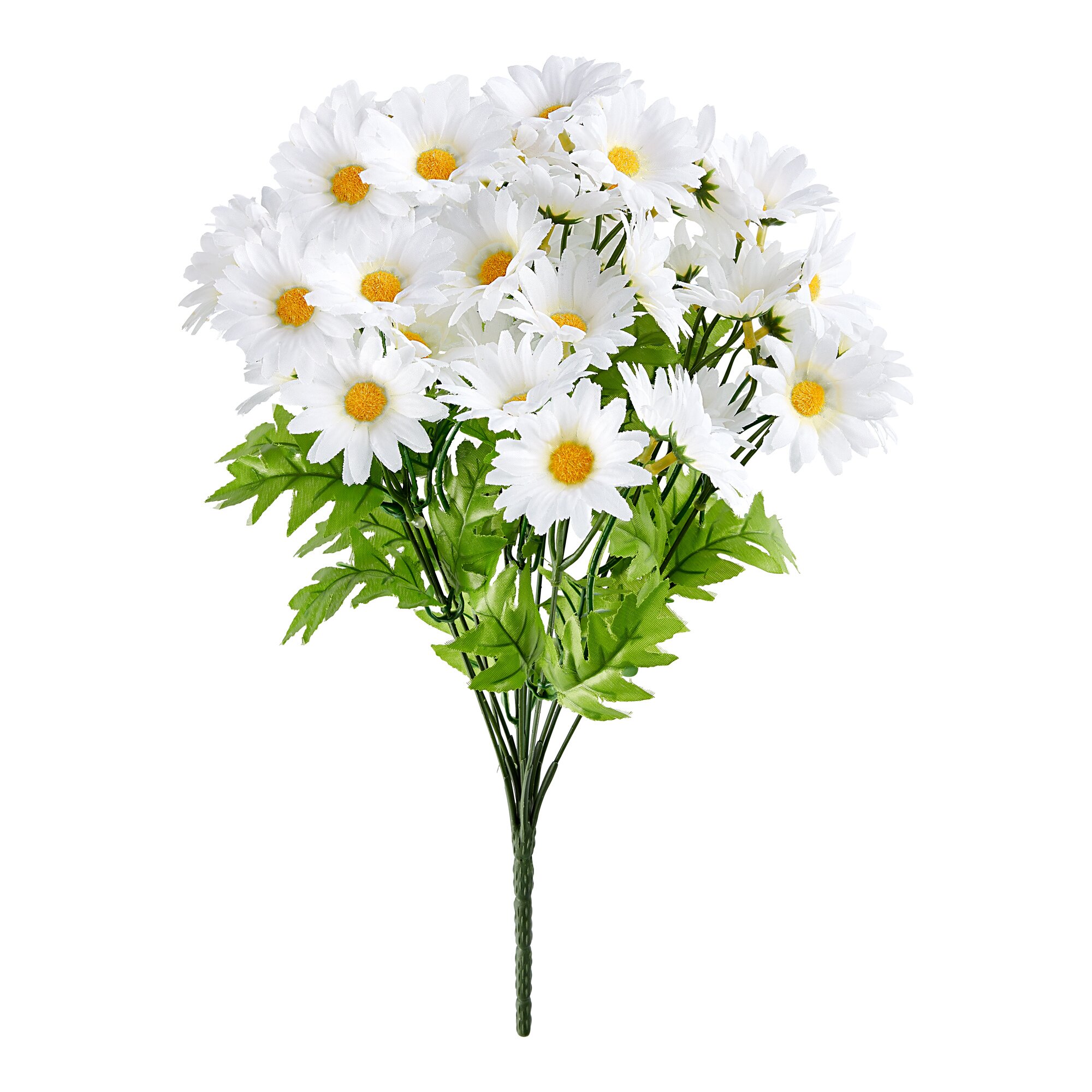 Bouquet de marguerites