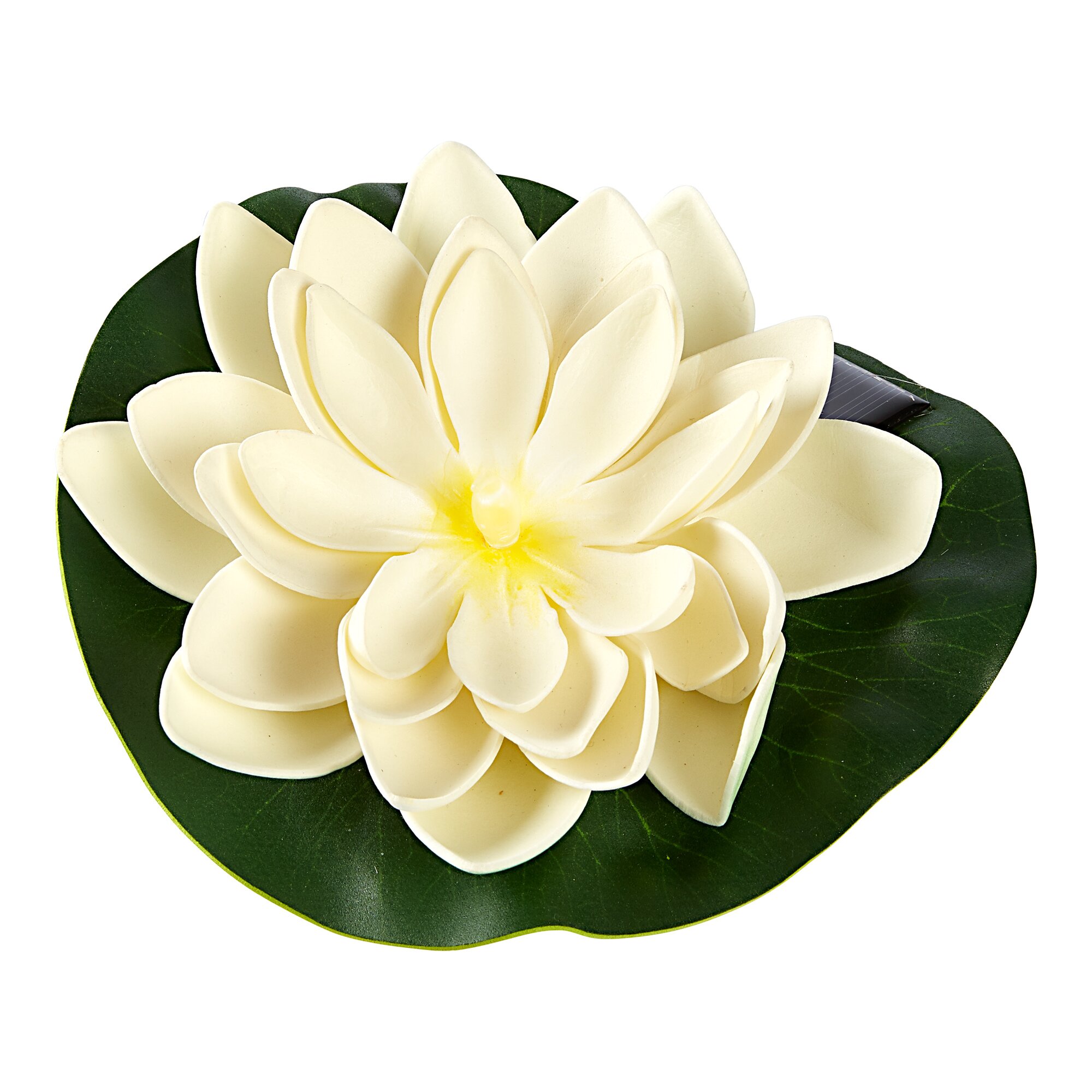 Solar-Seerose, weiß