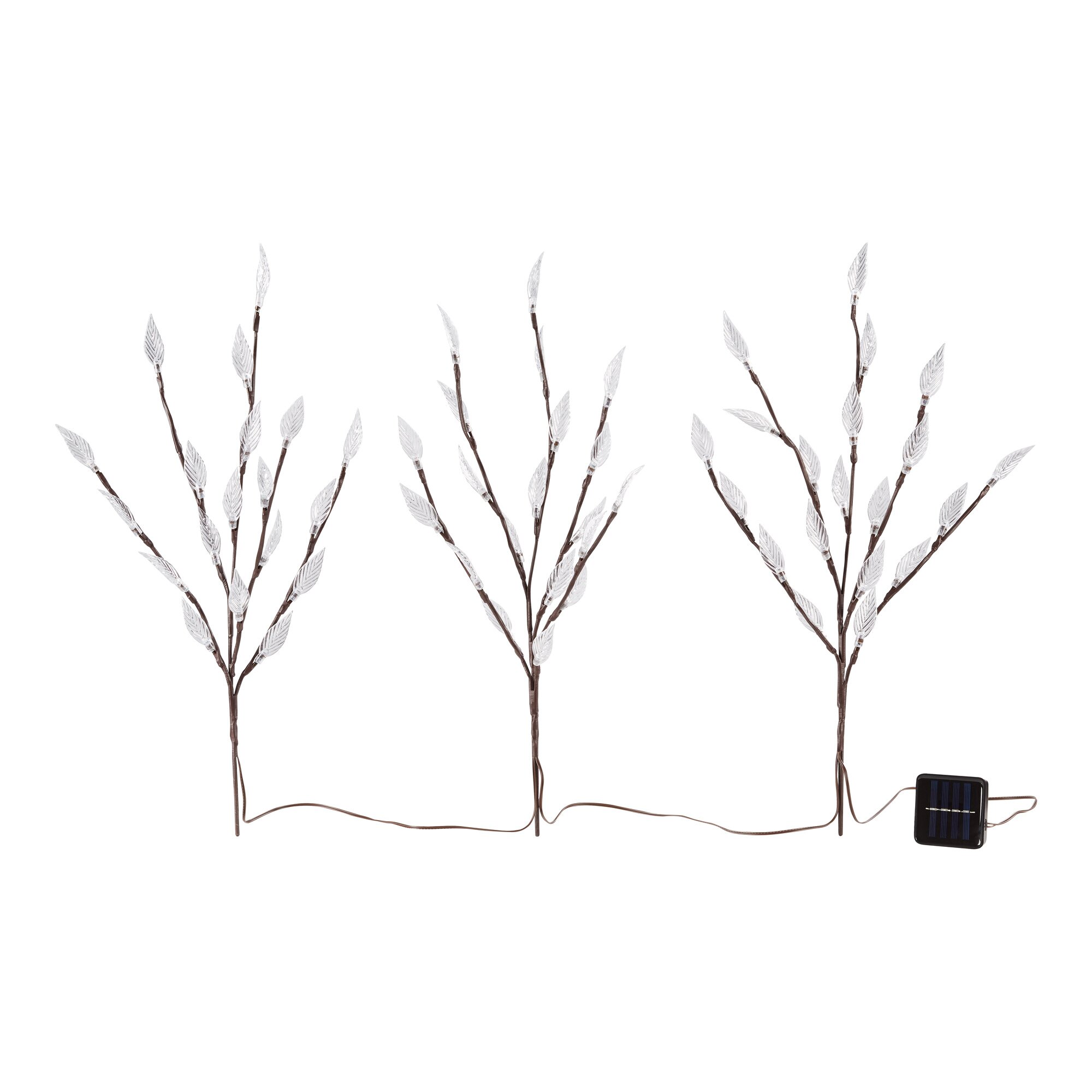 Trio de branches solaires
